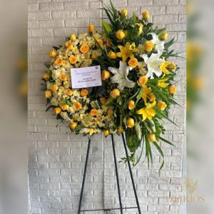 CORONA PICARON PREMIUM PHANY