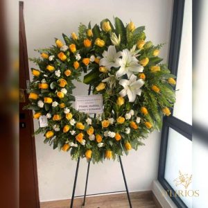 CORONA PICARÓNA PREMIUM DELICIA