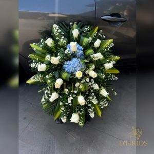LAGRIMA CELES