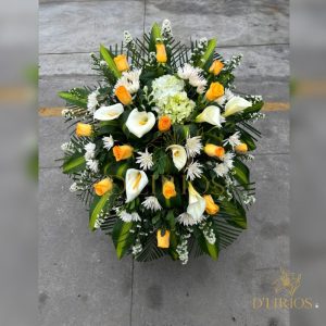 LÁGRIMA ESPECIAL AMALIA