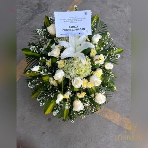 A LÁGRIMA ESPECIAL BLANCANIEVE