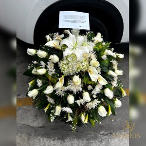 MANTO FÚNEBRE ESPECIAL MIRTHA
