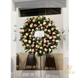 CORONA PICARON ESPECIAL