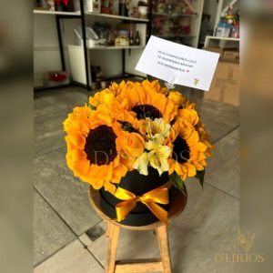 BOX DE GIRASOL