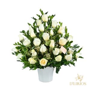 BOX FUNEBRE BLANCA