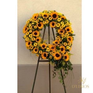 CORONA PICAROMA LILY