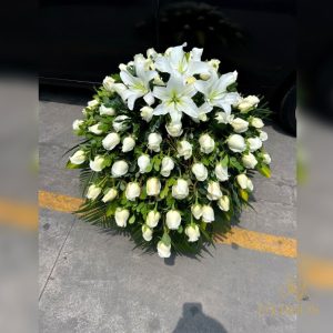 A MANTO FUNEBRE PAZ