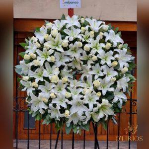 A PICARÓN FUNEBRE LILIUM