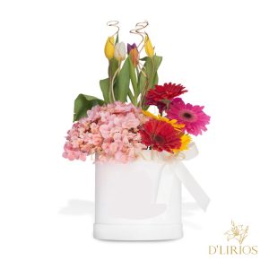 BOX DE HORTENSIAS Y TULIPANES