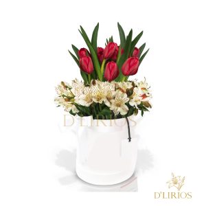 BOX DÚO ELEGANTE