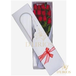 CAJA 12 ROSAS