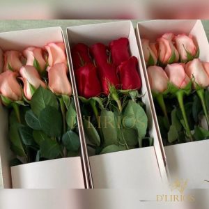 CAJA 6 ROSAS
