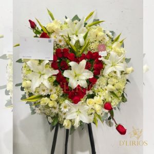 PICARÓN CORAZÓN